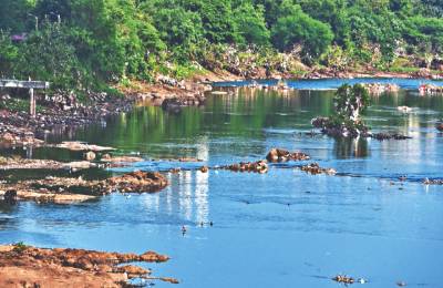 Construction debris chokes trees along Mula-Mutha riverfront: Environmental activists